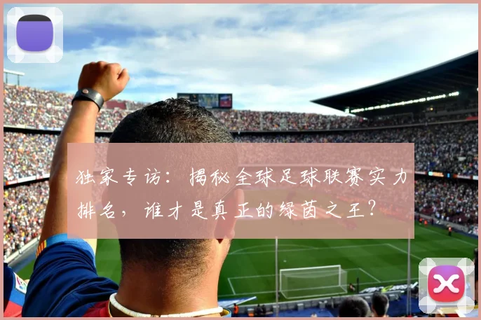 独家专访：揭秘全球足球联赛实力排名，谁才是真正的绿茵之王？
