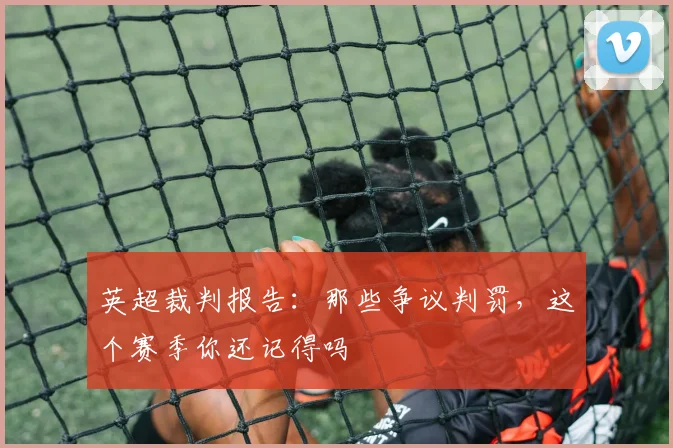 英超裁判报告：那些争议判罚，这个赛季你还记得吗